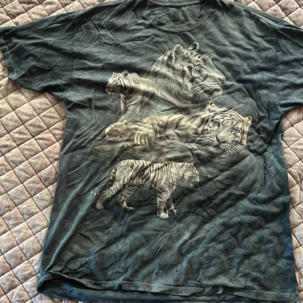 Urban Outfitters The Mountain t shirt